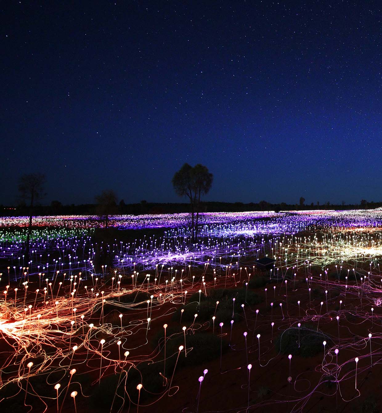 Field of Light